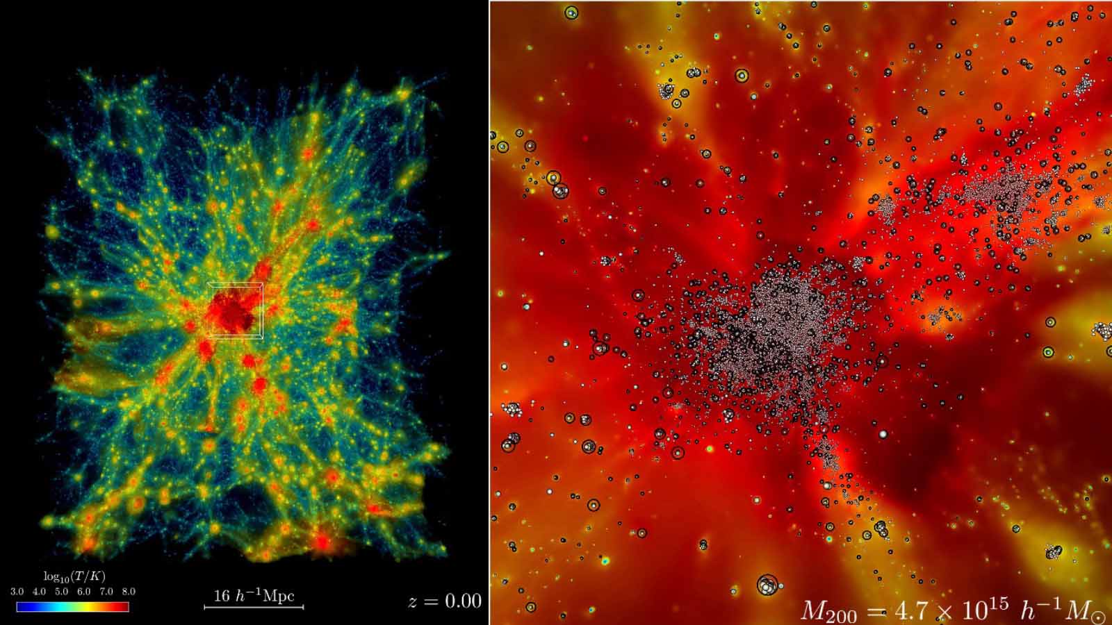 Cosmological Simulation by Argonne National Laboratory